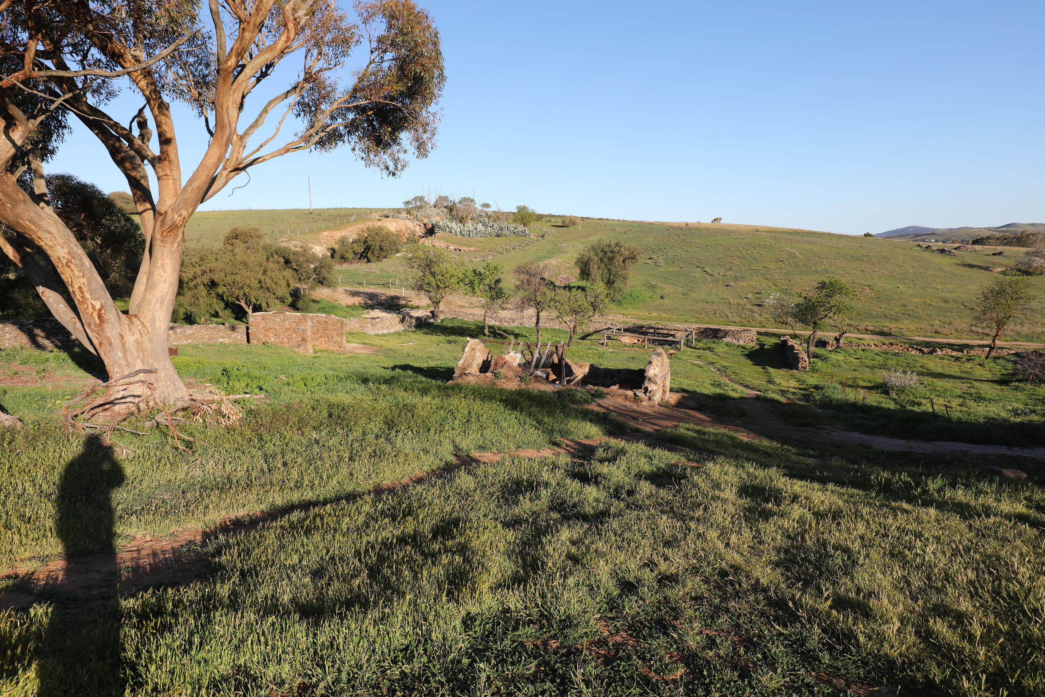 2019 08 30 16 41 28 Canon EOS 5D Mark IV 0021